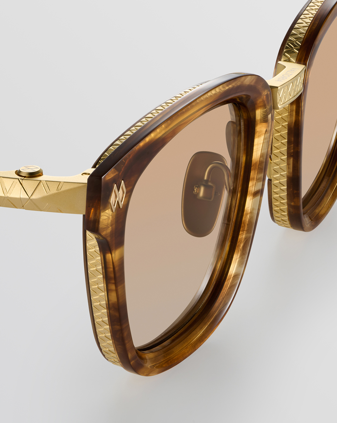 Brown Tortoise Brown