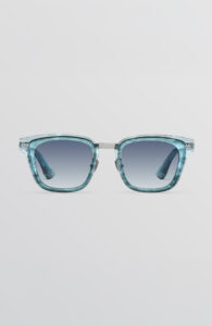 Blue Tortoise