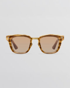 Brown Tortoise Brown