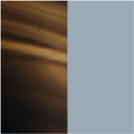 black-tortoise-grey