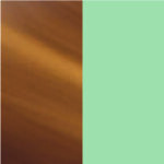 brown-tortoise-green