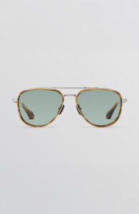 brown-tortoise-green